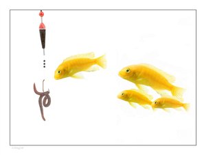 重新认识资本运作：打破你的认知边界